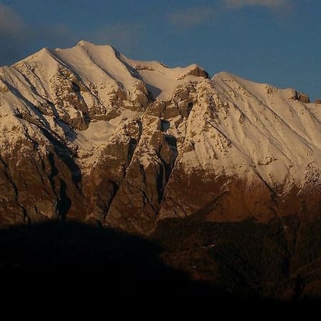 Catif Ladru Cerveno Exterior foto